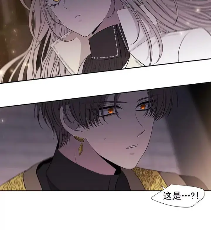 漫画《夏洛特与五门徒》64.越狱第72张图