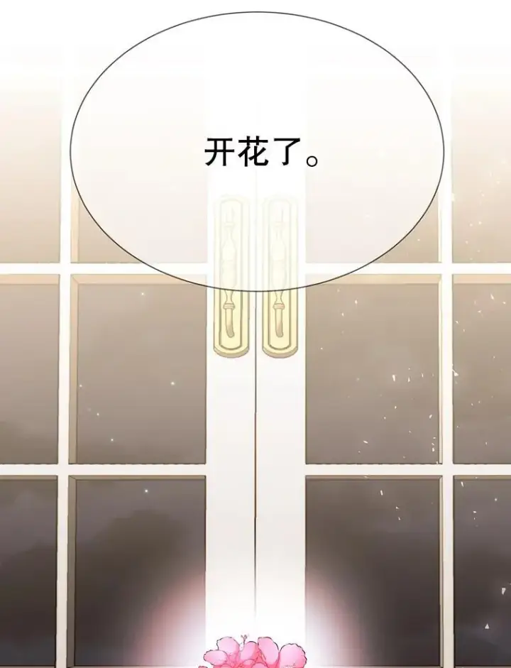 漫画《夏洛特与五门徒》201.红云似花第3张图