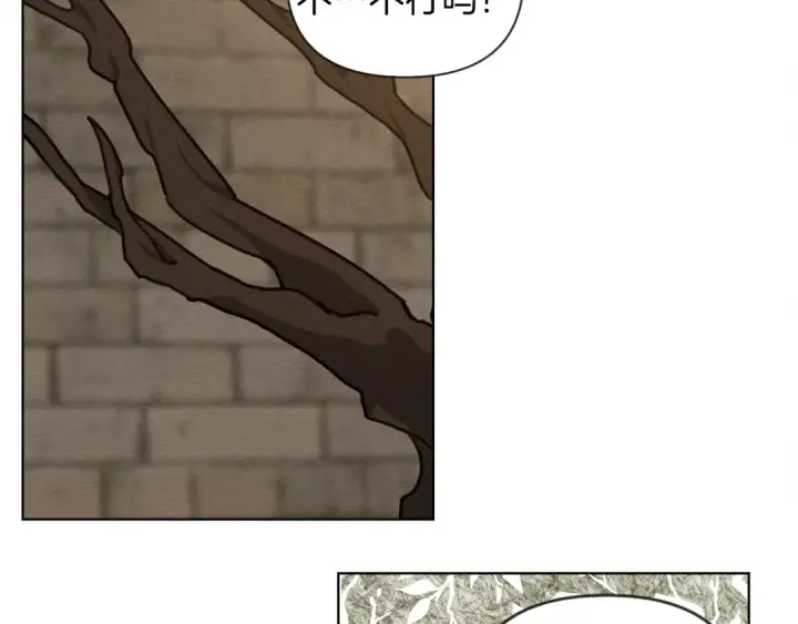 漫画《橡树之下》第18话 橡树下的传说第103张图