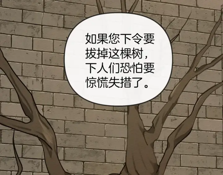 漫画《橡树之下》第18话 橡树下的传说第98张图