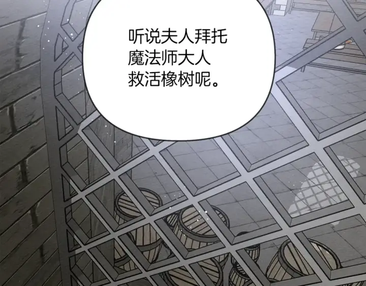 漫画《橡树之下》第19话 坚定退单第6张图