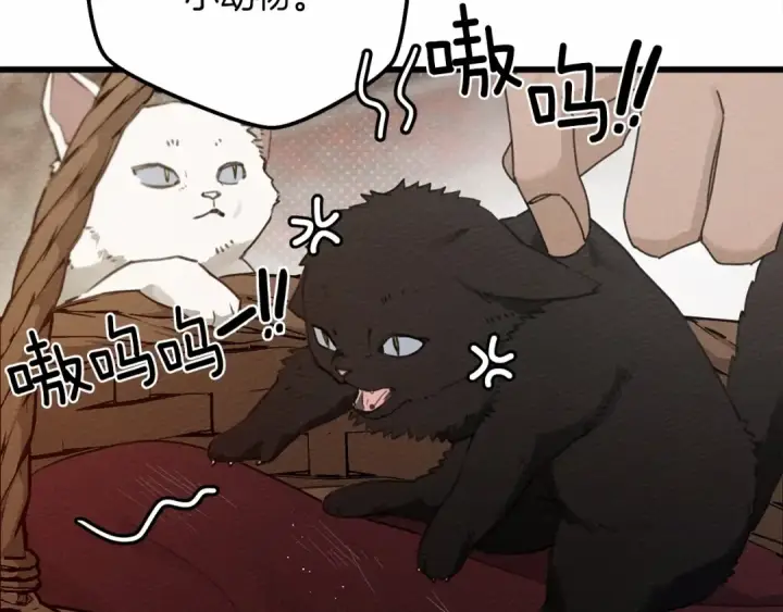 漫画《橡树之下》第46话 捡小猫猫第166张图