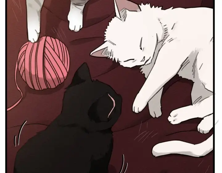 漫画《橡树之下》第46话 捡小猫猫第173张图