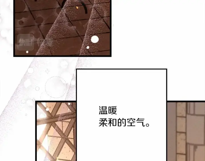 漫画《橡树之下》第46话 捡小猫猫第210张图