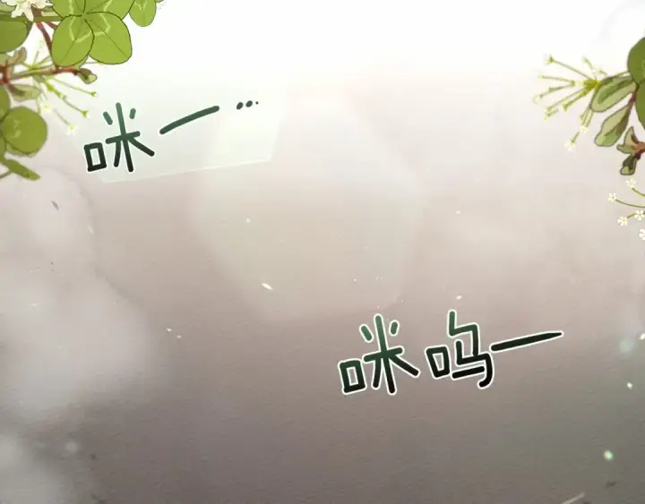 漫画《橡树之下》第46话 捡小猫猫第63张图