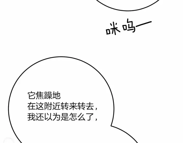 漫画《橡树之下》第46话 捡小猫猫第69张图
