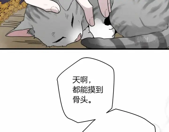 漫画《橡树之下》第46话 捡小猫猫第74张图