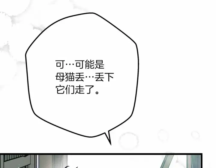 漫画《橡树之下》第46话 捡小猫猫第76张图