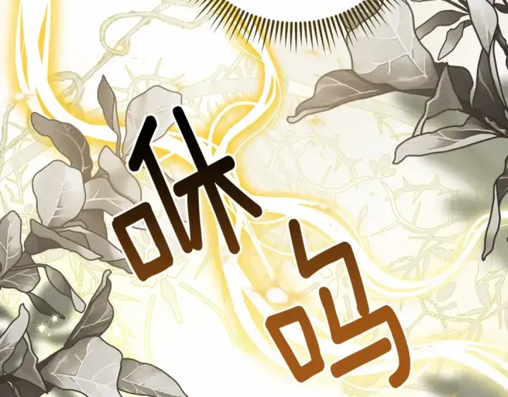 漫画《橡树之下》第61话 惊艳众人第171张图