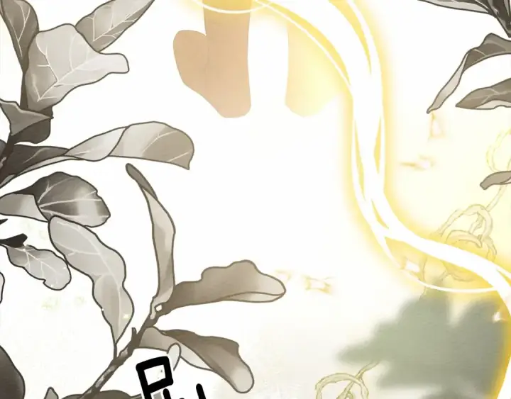 漫画《橡树之下》第61话 惊艳众人第175张图