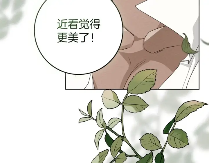 漫画《橡树之下》第78话 我要让你成为最尊贵的淑女第109张图