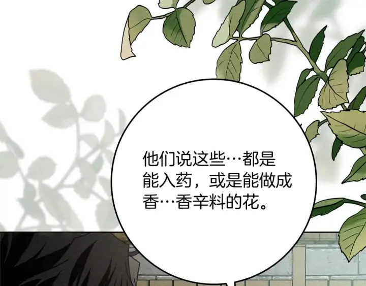 漫画《橡树之下》第78话 我要让你成为最尊贵的淑女第110张图