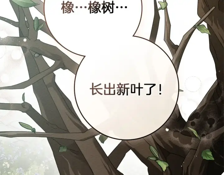 漫画《橡树之下》第78话 我要让你成为最尊贵的淑女第83张图