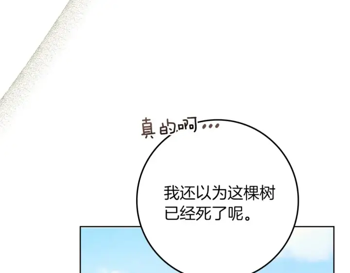 漫画《橡树之下》第78话 我要让你成为最尊贵的淑女第87张图