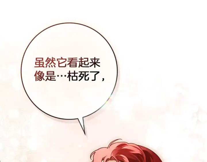漫画《橡树之下》第78话 我要让你成为最尊贵的淑女第91张图