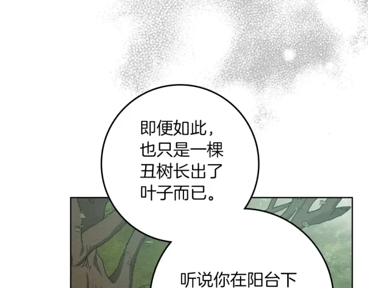 漫画《橡树之下》第78话 我要让你成为最尊贵的淑女第98张图