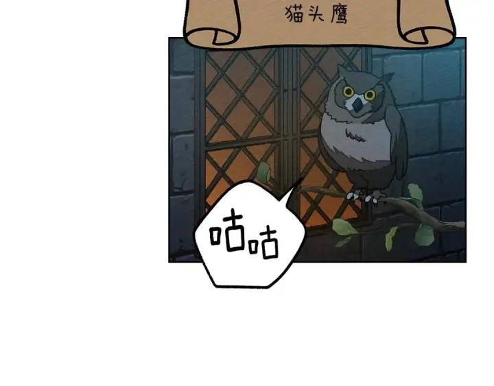 漫画《橡树之下》第84话 这里不要拘谨第214张图