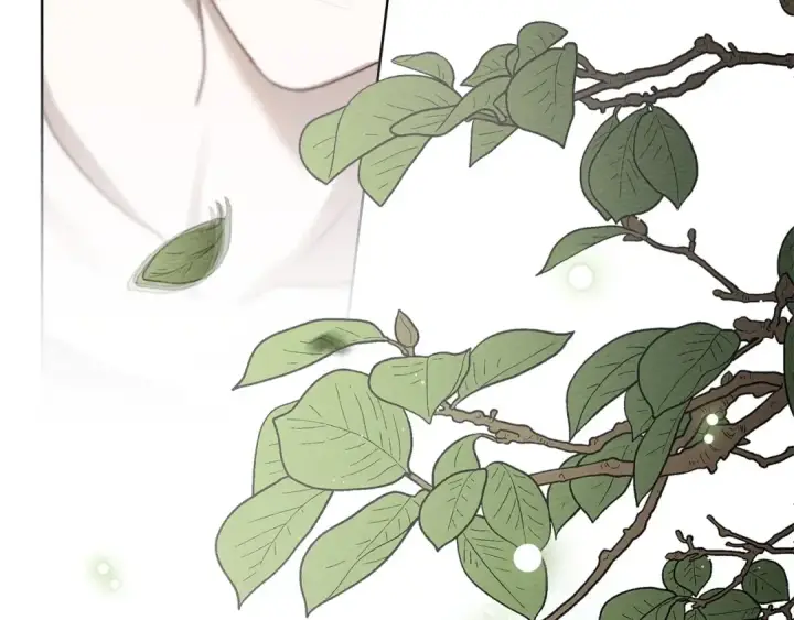 漫画《橡树之下》第三季完结话 我的妻子在干什么？第227张图