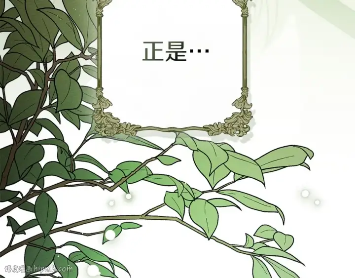 漫画《橡树之下》第三季完结话 我的妻子在干什么？第232张图