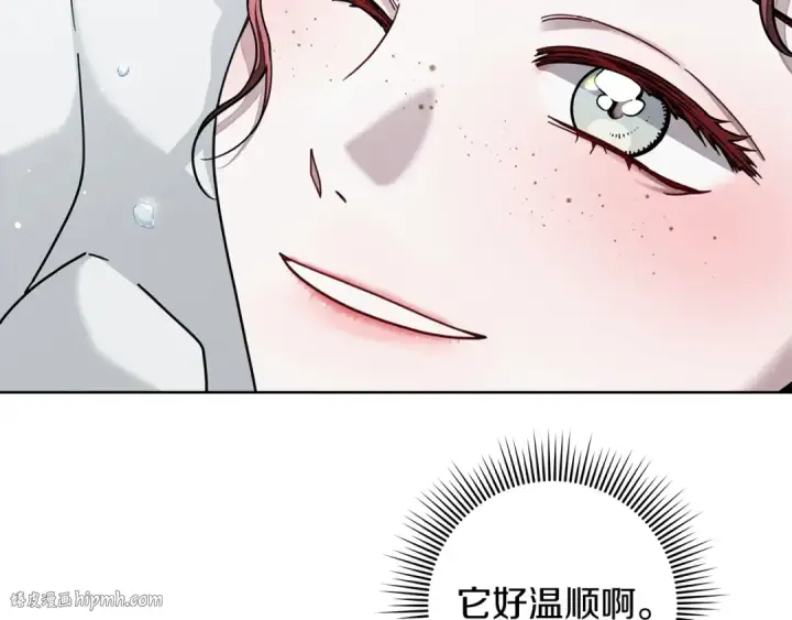 漫画《橡树之下》第102话 神秘白马第144张图