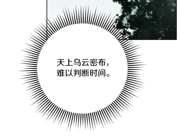 漫画《橡树之下》第102话 神秘白马第97张图
