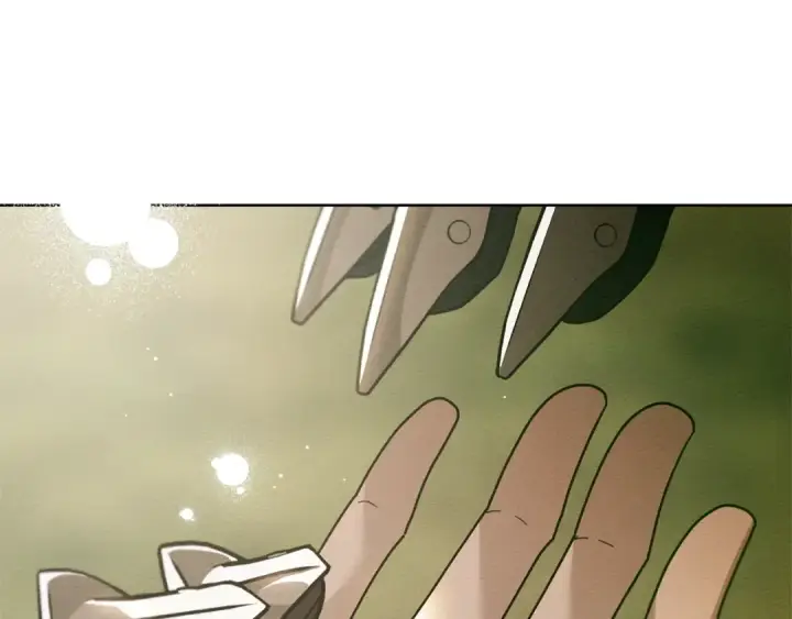 漫画《橡树之下》第112话 幸运符第138张图