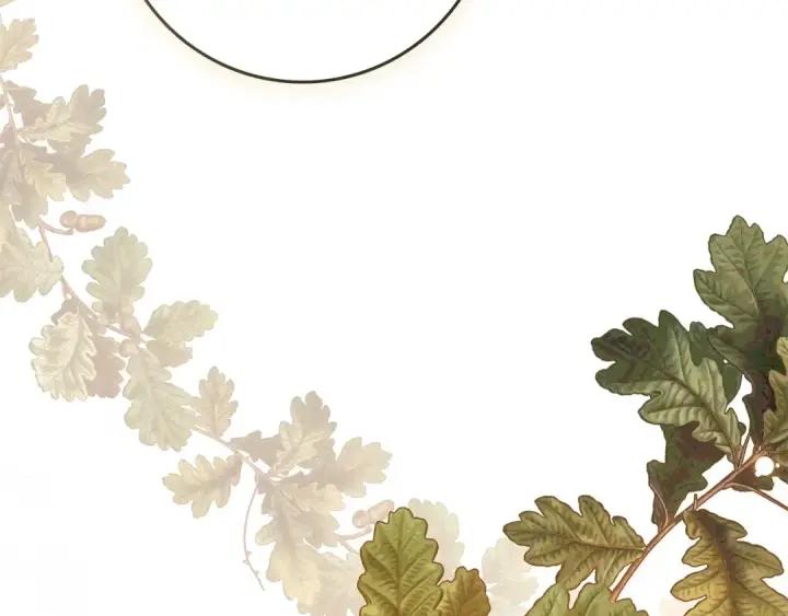漫画《橡树之下》第112话 幸运符第158张图
