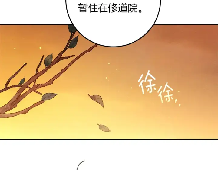 漫画《橡树之下》第114话 欠人情？第205张图