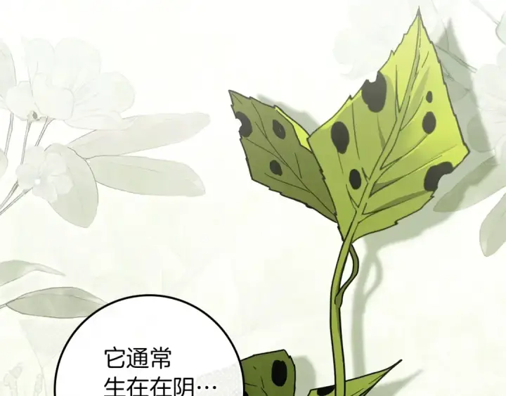 漫画《橡树之下》第117话 止疫良方第14张图