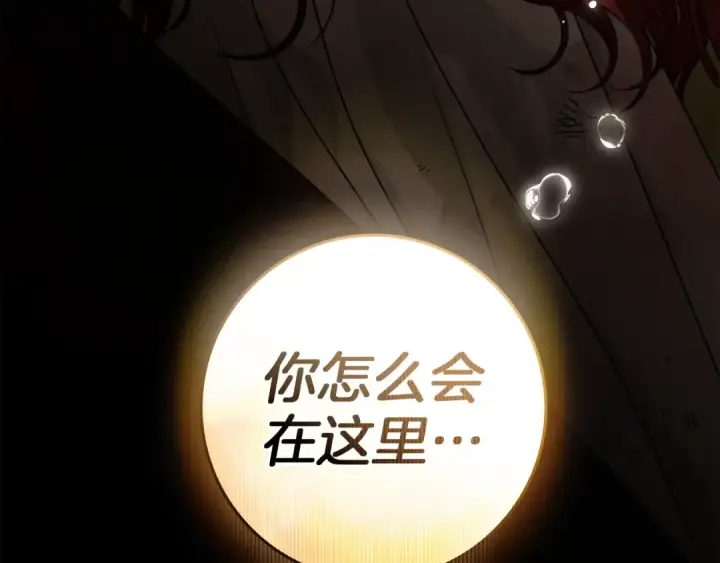漫画《橡树之下》第四季完结话 让我看看你的脸第231张图