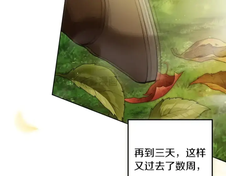 漫画《橡树之下》第133话 不用送行第202张图