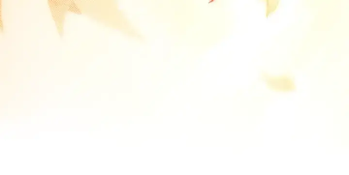 漫画《橡树之下》第133话 不用送行第209张图