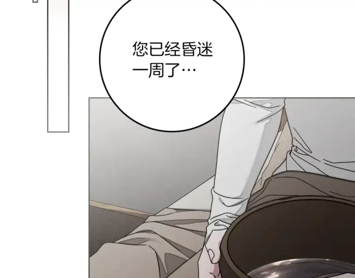 漫画《橡树之下》第139话 平安真好第12张图