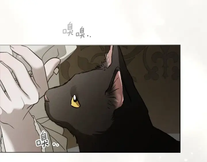 漫画《橡树之下》第153话 复仇第51张图