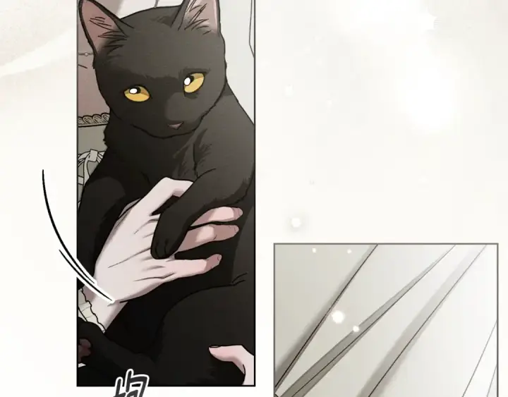 漫画《橡树之下》第153话 复仇第56张图