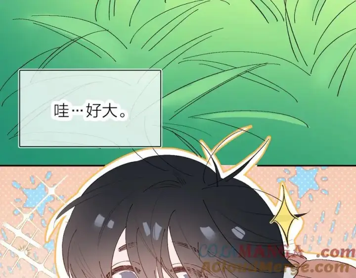 漫画《小蘑菇》好消息！月3更改周更通知第27张图