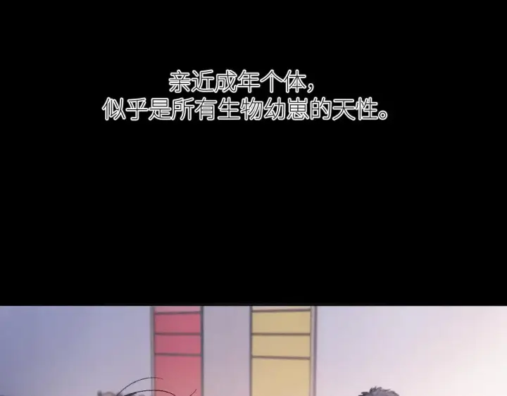 漫画《小蘑菇》第49话 像极光第63张图