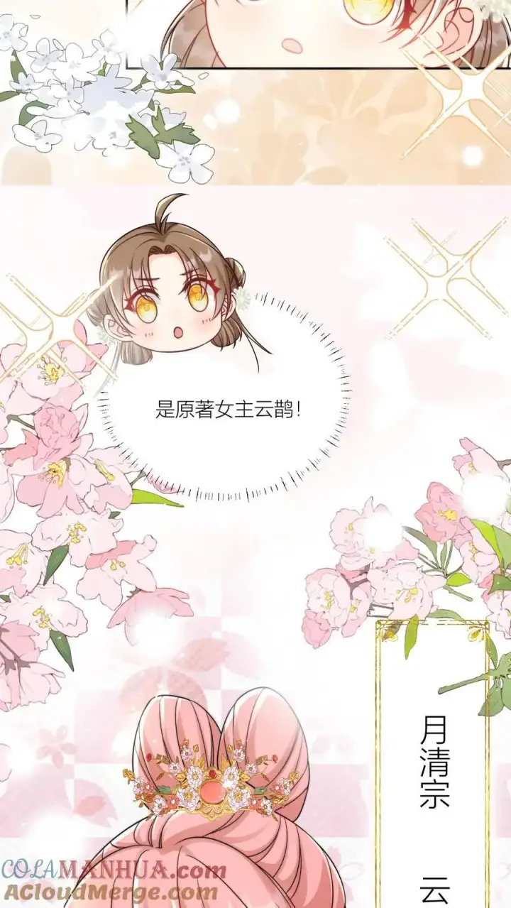 漫画《小师妹明明超强却过分沙雕》第29话 剑谱第一页，先斩意中人第19张图