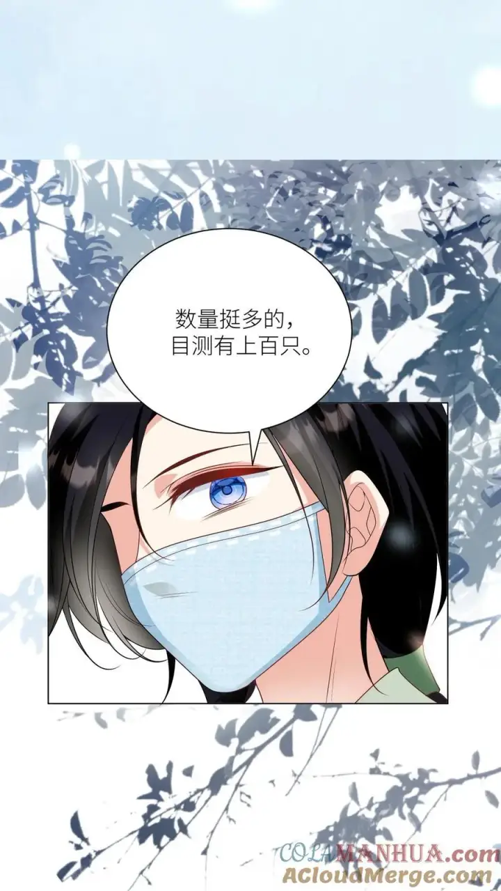 漫画《小师妹明明超强却过分沙雕》第39话 跟着师妹趁火打劫真爽啊！第17张图