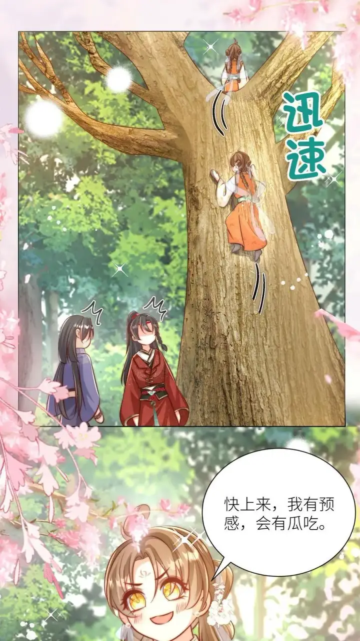 漫画《小师妹明明超强却过分沙雕》第64话 快上树，一起吃瓜啦！第16张图