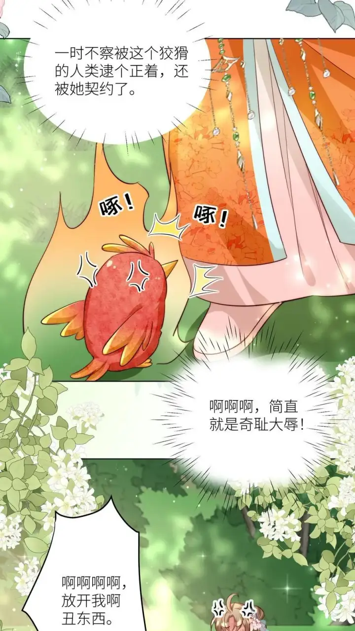 漫画《小师妹明明超强却过分沙雕》第70话 鸡要养肥了再吃！第8张图