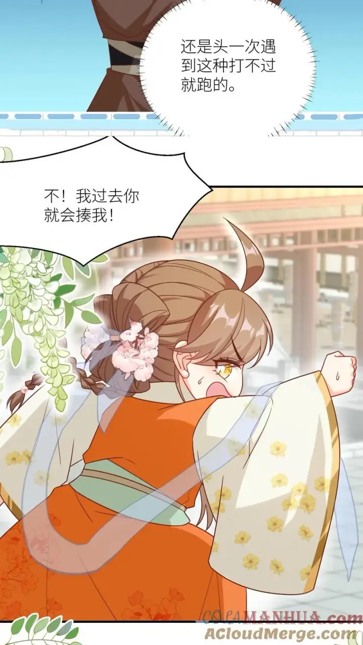 漫画《小师妹明明超强却过分沙雕》第88话 大比居然要直播？！！第17张图