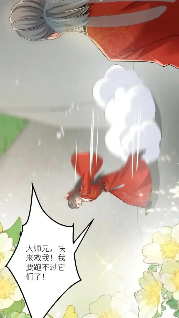 漫画《小师妹明明超强却过分沙雕》第202话 不要再来追我了！第26张图