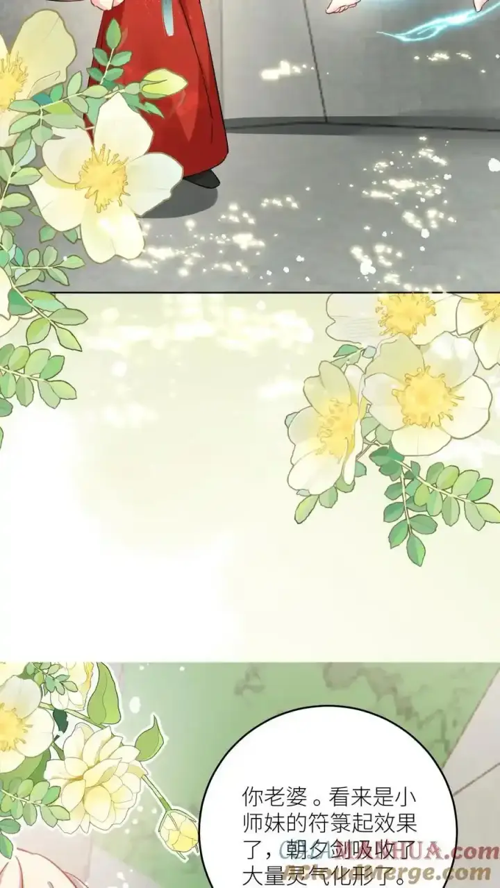 漫画《小师妹明明超强却过分沙雕》第202话 不要再来追我了！第33张图