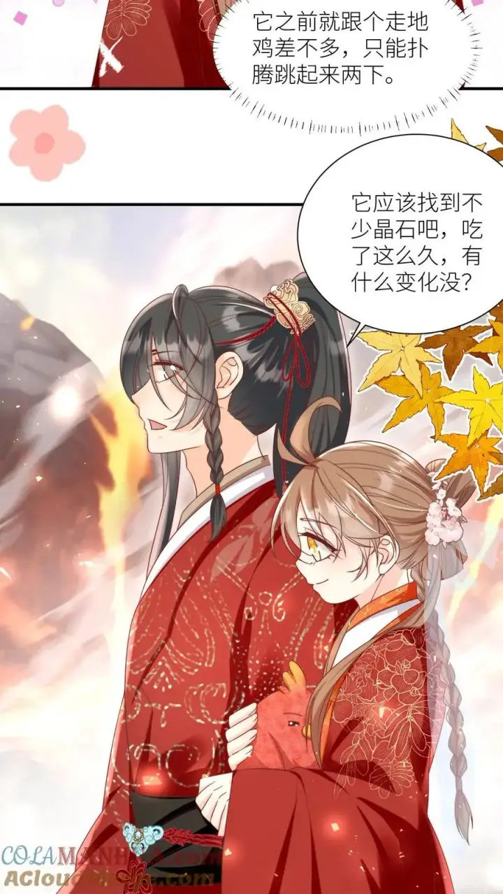 漫画《小师妹明明超强却过分沙雕》第177话 大家一起指凤为鸡第5张图
