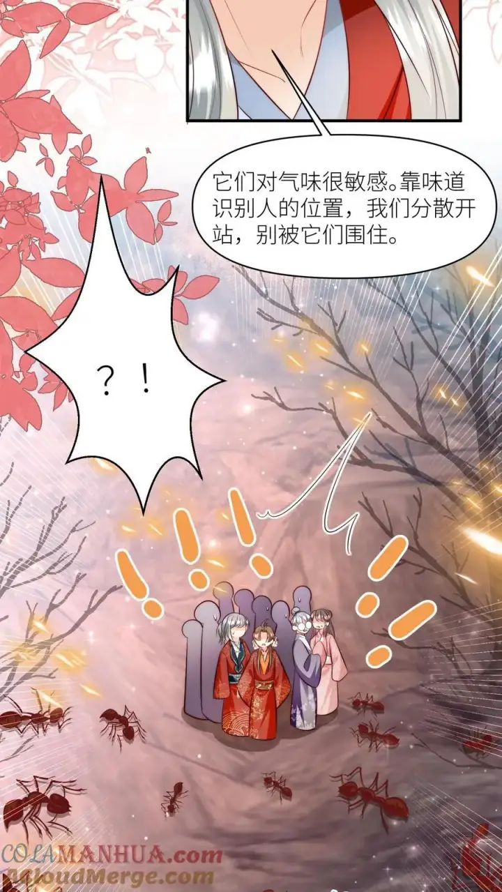 漫画《小师妹明明超强却过分沙雕》第178话 怪味丹药大赏第21张图