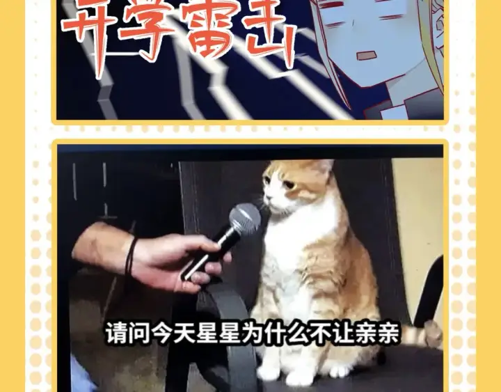 漫画《星辰于我》第38期  特别企划：一波梗图来袭！第12张图