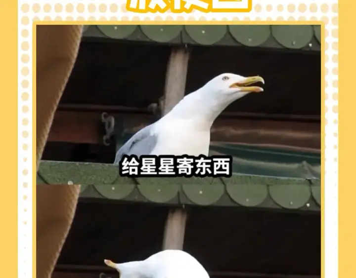 漫画《星辰于我》第38期  特别企划：一波梗图来袭！第3张图
