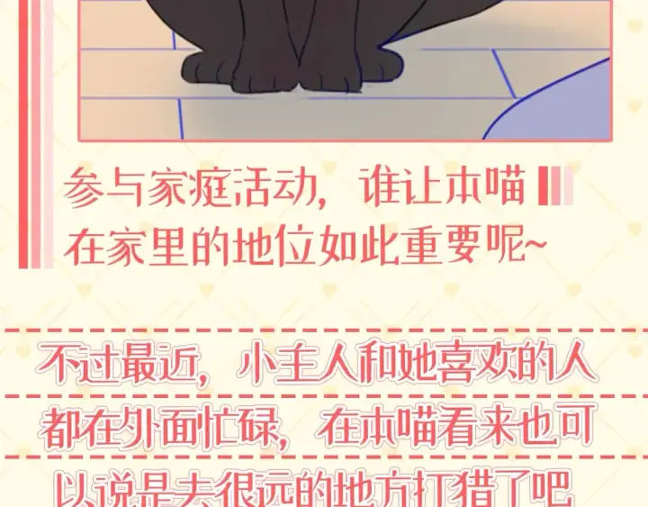 漫画《星辰于我》第40期  特别企划：猫猫仙贝的悠闲生活第12张图