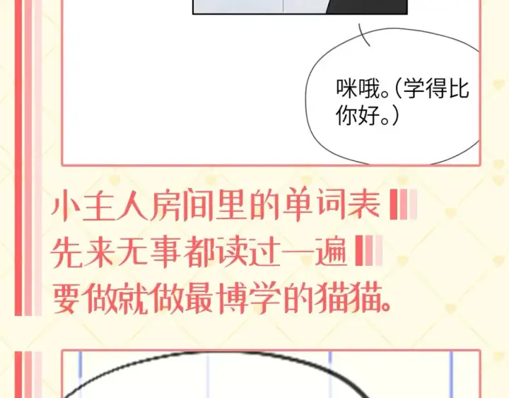 漫画《星辰于我》第40期  特别企划：猫猫仙贝的悠闲生活第5张图